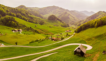 Образование в Швейцарии